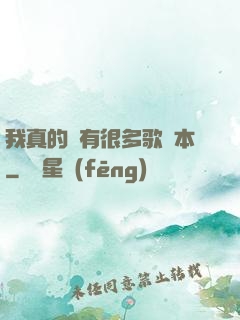 我真的沒有很多歌詞本