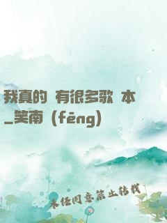 我真的沒有很多歌詞本