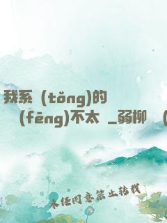 我系統(tǒng)的畫風(fēng)不太對