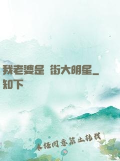 我老婆是撲街大明星