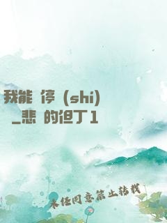我能暫停時(shí)間