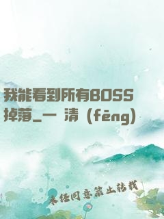我能看到所有BOSS掉落