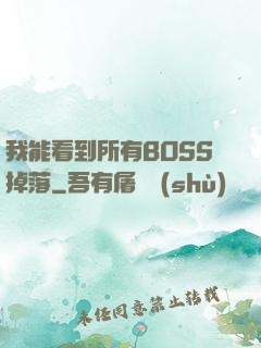 我能看到所有BOSS掉落