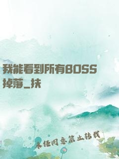 我能看到所有BOSS掉落
