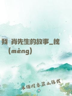 我與肖先生的故事