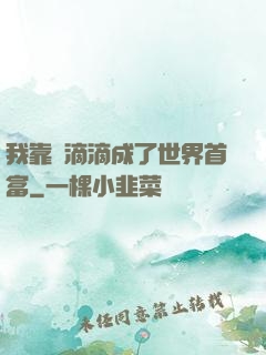 我靠開滴滴成了世界首富