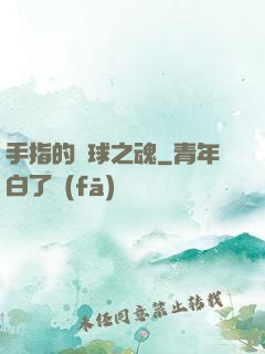 手指的籃球之魂