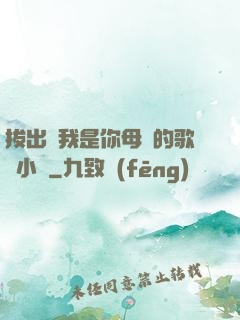 拔出來我是你母親的歌詞小說