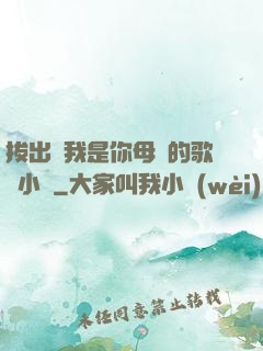 拔出來我是你母親的歌詞小說