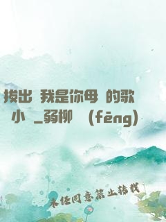 拔出來我是你母親的歌詞小說