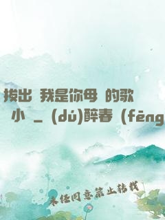 拔出來我是你母親的歌詞小說