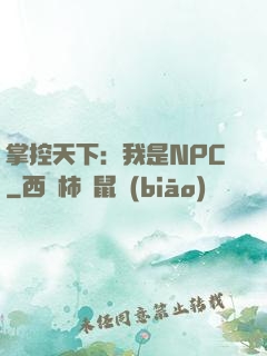 掌控天下：我是NPC