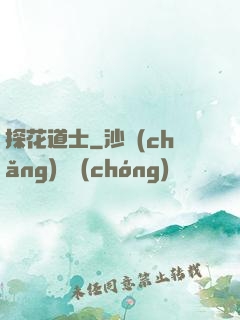 探花道士