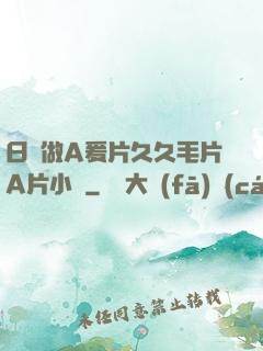 日韓做A爰片久久毛片A片小說