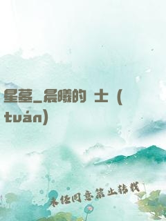 星墓