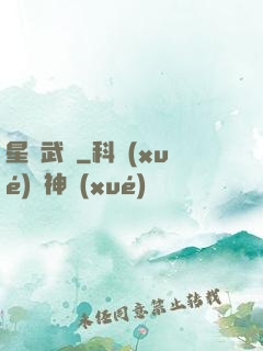 星鎧武裝
