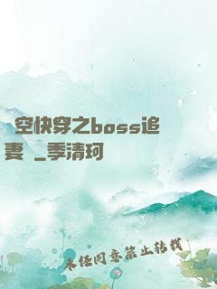 時空快穿之boss追妻記