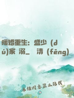 暖婚重生：盛少獨(dú)家寵溺