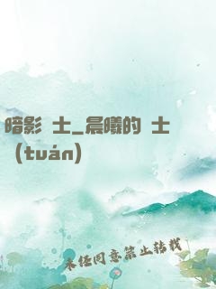 暗影騎士
