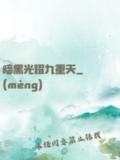 暗黑光耀九重天