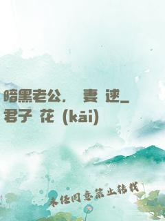 暗黑老公，寶妻難逑