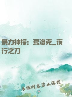 暴力神探：夏洛克