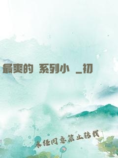 最爽的亂系列小說