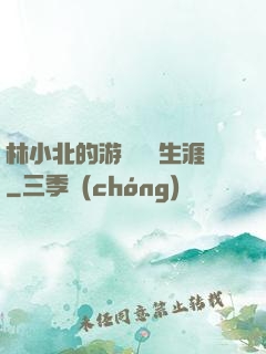 林小北的游戲賺錢生涯