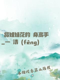 極品姐妹花的貼身高手