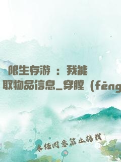 極限生存游戲：我能讀取物品信息