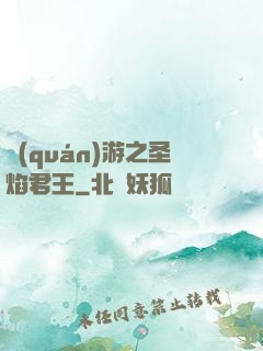 權(quán)游之圣焰君王