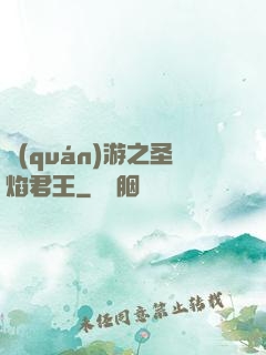 權(quán)游之圣焰君王
