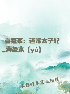 歡喜冤家：逃嫁太子妃