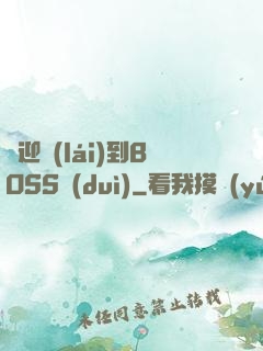 歡迎來(lái)到BOSS隊(duì)