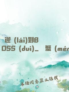 歡迎來(lái)到BOSS隊(duì)