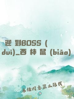歡迎來到BOSS隊(duì)