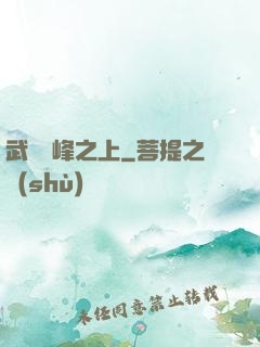 武俠巔峰之上