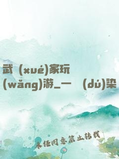 武學(xué)家玩網(wǎng)游