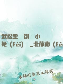 武松金蓮顛倒鸞鳳小說免費(fèi)閱讀