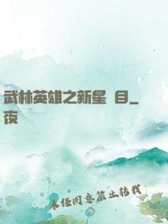 武林英雄之新星奪目