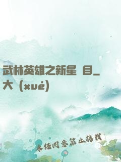 武林英雄之新星奪目