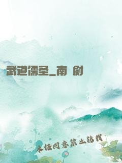 武道儒圣