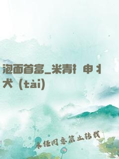 泡面首富