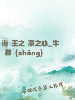 海賊王之劍豪之心