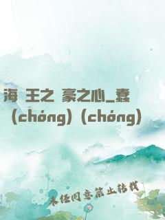 海賊王之劍豪之心