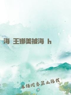 海賊王娜美被海軍h