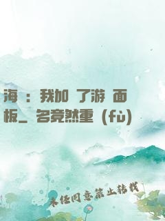 海賊：我加載了游戲面板