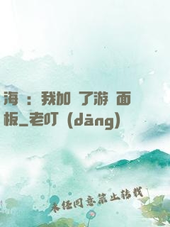 海賊：我加載了游戲面板