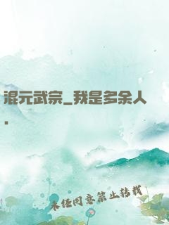 混元武宗