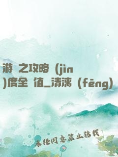 游戲之攻略進(jìn)度全滿值